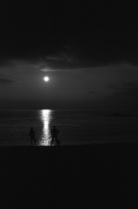 Moonlight 2