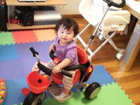 ファーストシューズと三輪車
