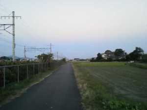 長い！