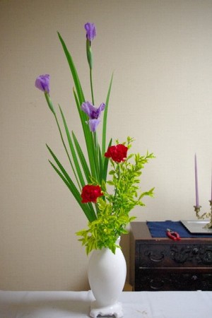 小原流たてるかたち　花菖蒲