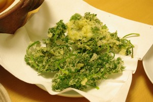今日のご飯はなあに？