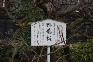 興津清見寺