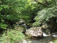 ちょこもり　→　おおもり！？