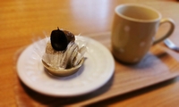今日は…