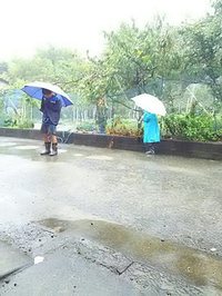 雨の防災訓練