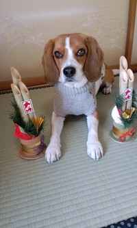 謹賀新年