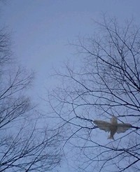 はじめまして。