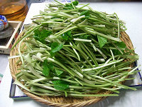 茎山葵