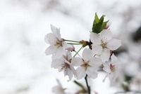 ぴかぴかすぎる。