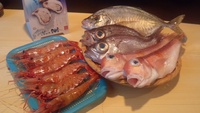 いい習慣
