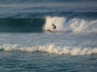 SURF 遠州灘 8月10日(土)・先週のお仕事