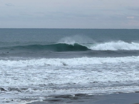 SURF 駿河湾内 2月3日(月)・2日(日)までの10日間まとめ