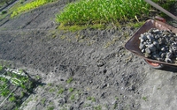 種蒔き・定植前の土作りまで 2013/03/11 21:55:48