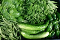 夏野菜続々登場！ 2014/07/22 12:03:24