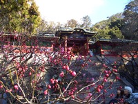 久能山東照宮　２１０　静岡　パート２