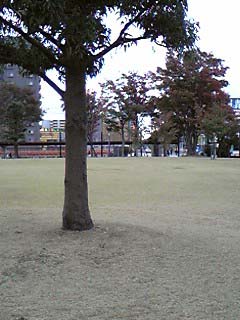 みんなで歩こう！