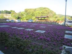 島田・中央公園の神社
