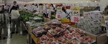本日新装開店