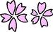 秋葉ダム千本桜