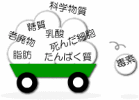 鎖骨が大事☆