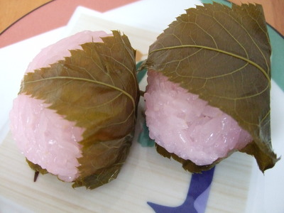 お堀の桜