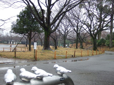 また雨。。。