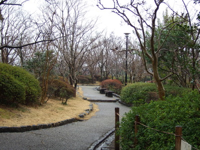 また雨。。。
