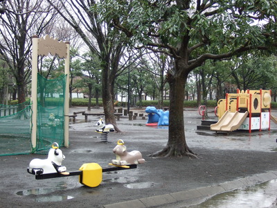 また雨。。。