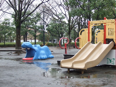 また雨。。。