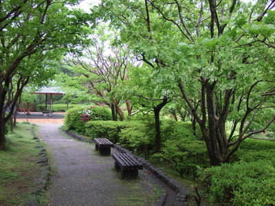新緑の城北公園