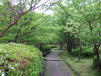 新緑の城北公園
