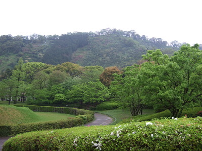 新緑の城北公園
