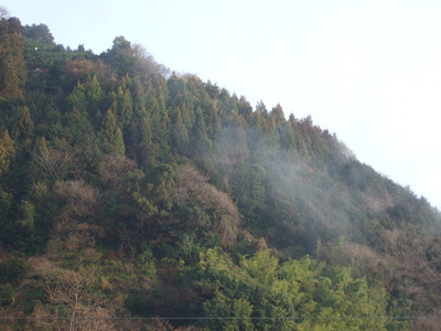 雨上がりの春の朝