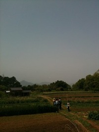 高橋農園  韮山
