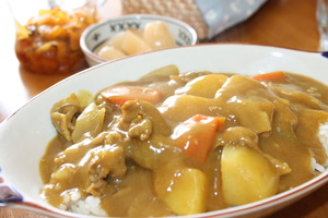 ハウス 印度カレー