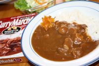 ハウス カレーマルシェ＜赤ワイン仕立て＞
