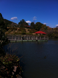 島田中央公園