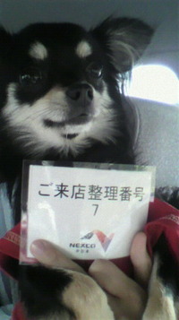 新東名開通