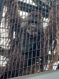 私たちの暮らしと野生動物とのつながり