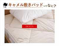 快眠を得るために必要なもの。『キャメル敷きパッド』ってなに？ 2017/11/04 18:38:42