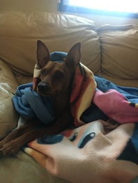 今日の仕事