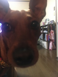 手漉き和紙工場へ