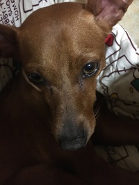 手漉き和紙工場へ