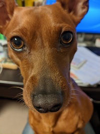 今日の仕事