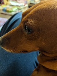 今日の仕事