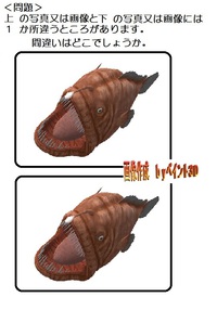 間違い探し　問題