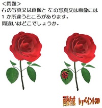 間違い探し