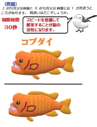 間違い探し