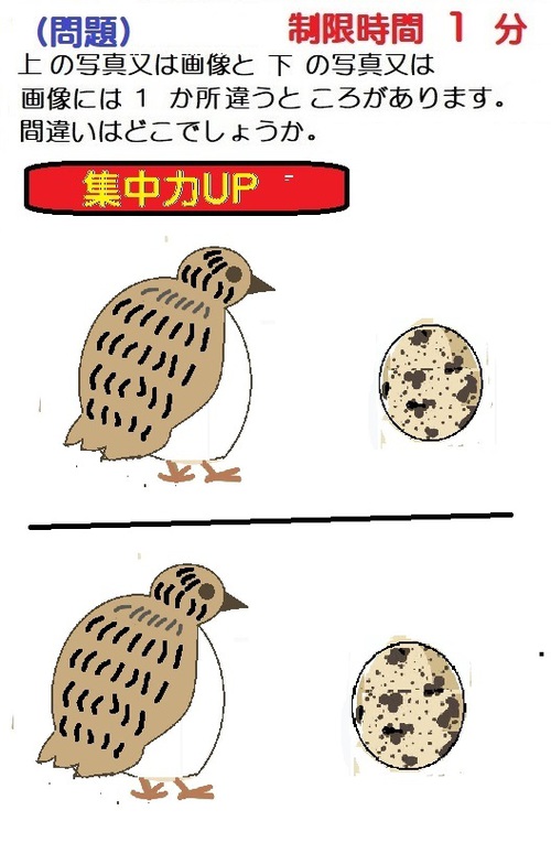 間違い探し