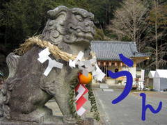 賀正